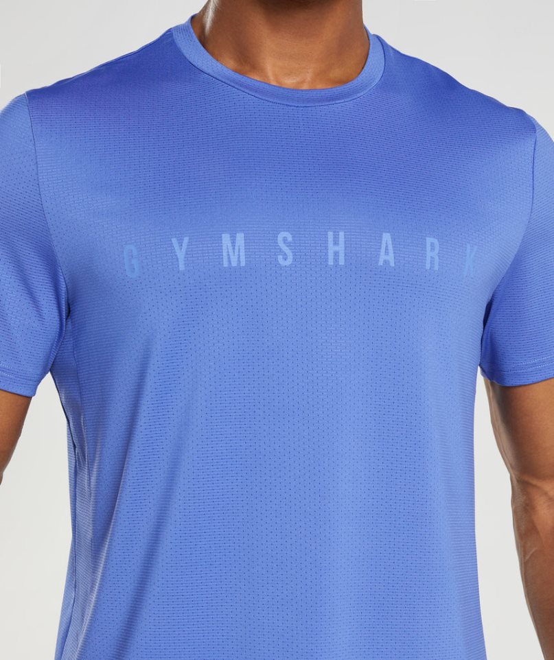 Koszulki Gymshark Sportowe Stripe Męskie Niebieskie | PL 247EHW